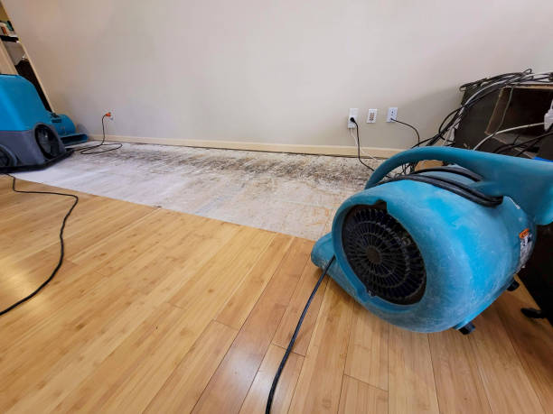 Professional Sewage Cleanup technician working in Belle Valley, OH